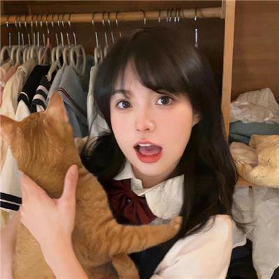 盗贼泰瑞莎